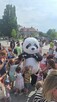 Biały Miś i Panda zapraszają do wspólnej zabawy. - 3