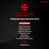 Pozycjonowanie stron • Reklama Google Ads i Facebook Ads • P
