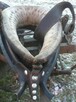 Chomonto - 2