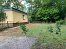 Sprzedam dom przy lesie w województwie podlaskim - 6