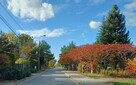 Działka 1050 m² – Rusiec – media, kostka, blisko S8 - 10