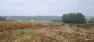 Działka budowlana Kupientyn gm. Sabnie - 8