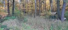 Działka rekreacyjna Kupientyn gm. Sabnie - 13