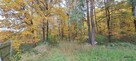 Działka rekreacyjna Kupientyn gm. Sabnie - 15