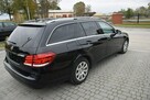 Mercedes E 220 2.2D 2013r Lift/ Led/ Navi/ Oryginał Lakier - 10