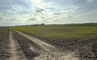 Miłków Kol, gm. Siemień – działka fotowoltaika