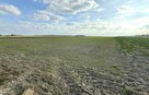 Miłków Kol, gm. Siemień – działka fotowoltaika - 6
