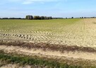 Miłków Kol, gm. Siemień – działka fotowoltaika - 9