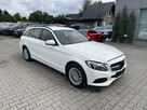 Mercedes C 220 Klimatronik Podgrzewanie LED 170KM - 5