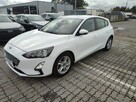 Ford Focus Salon Polska fv23 - 2
