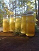 Żywy ocet jabłkowy - 2