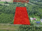 Działka Czerwona Górka gm. Łączna - 2