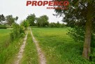 Działka Jeleniów gm. Nowa Słupia - 4