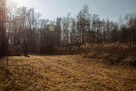 Siedlisko w Joninach z działkami 3,5 hektara - 11