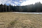 Duża działka 30 arów z 2 HA prywatnego lasu - 6