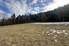 Duża 20 arów z dużym 2 HA prywatnym lasem - 6