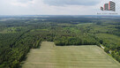 Działka leśna Lipinki gm. Sosnówka, - 6
