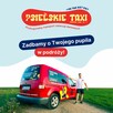 Transport zwierząt domowych - Taxi dla psa i kota - 3