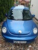 New Beetle - 3