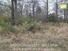 Działka budowlana Radziwiłłów gm. Puszcza Mariańska - 3