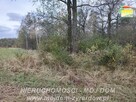 Działka budowlana Radziwiłłów gm. Puszcza Mariańska - 4