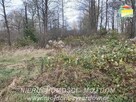 Działka budowlana Radziwiłłów gm. Puszcza Mariańska - 5