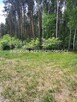 Działka rolna Puszcza Mariańska Wycześniak - 13