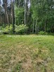 Działka rolna Puszcza Mariańska Wycześniak - 14