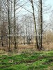 Działka budowlana Jaktorów Budy-Grzybek - 6