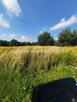 Działka budowlana Kwiatkówek gm. Kampinos - 4