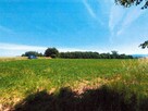 Działka, 5 700 m², Jurków - 2