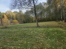 Działka budowlana Wiązowna - 14