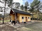 Działka w lesie z zabudową – Wędzina - 4