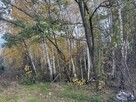 Działka budowlana Książenice gm. Grodzisk Mazowiecki