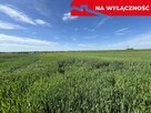 Działka 0,82ha U/MN Wólka gm. Długie pod Lublinem. - 7