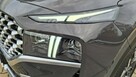 Hyundai Santa Fe 1.6 T-GDI PHEV Platinum 4WD 265 KM/Krajowy/Serwis ASO, I rej. 2022 - 9