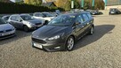 Ford Focus LED, serwisowany - 3