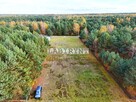 Prusicko 1600m2, budowlana, 31x47, w lesie, media - 3
