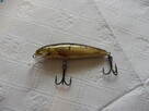 Wobler Salmo Minnow 7cm 8g, kolor Wounded Dace - 4