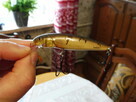 Wobler Salmo Minnow 7cm 8g, kolor Wounded Dace - 6