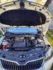 Skoda Rapid 2017r. Gaz - 13