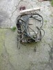 Stopa ubijakowa skoczek - 5