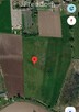 Działka 1,24 ha pod zabudowę mieszkaniową jednorodzinną w Baranowie - 2