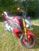 Emio Vento - 2