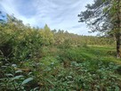 Działka przy lesie 1tys m Helenów gm Głowno - 8