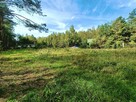 Działka przy lesie 1tys m Helenów gm Głowno - 9