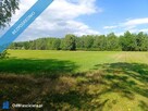 Siedlisko 3,57 ha z zabudowaniami i własnym lasem – Siedlików k. Ostrzeszowa - 2