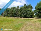 Siedlisko 3,57 ha z zabudowaniami i własnym lasem – Siedlików k. Ostrzeszowa - 9