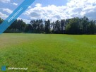 Siedlisko 3,57 ha z zabudowaniami i własnym lasem – Siedlików k. Ostrzeszowa - 11