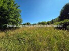 Działka rolna Głuszyca Górna gm. Głuszyca, Graniczna - 5